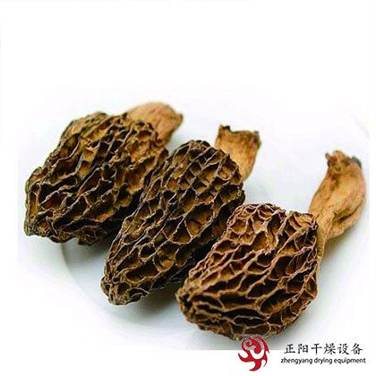 羊肚菌、猴頭菇、茶樹菇