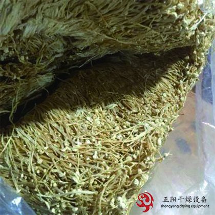 金針菇、杏鮑菇