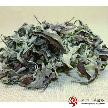 艾草、益母草、茯苓