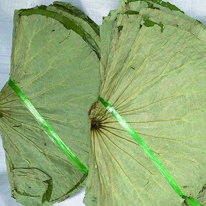 荷葉